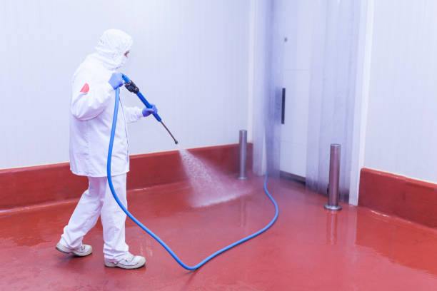 Best Building Exterior Pressure Washing in Winnsboro, SC